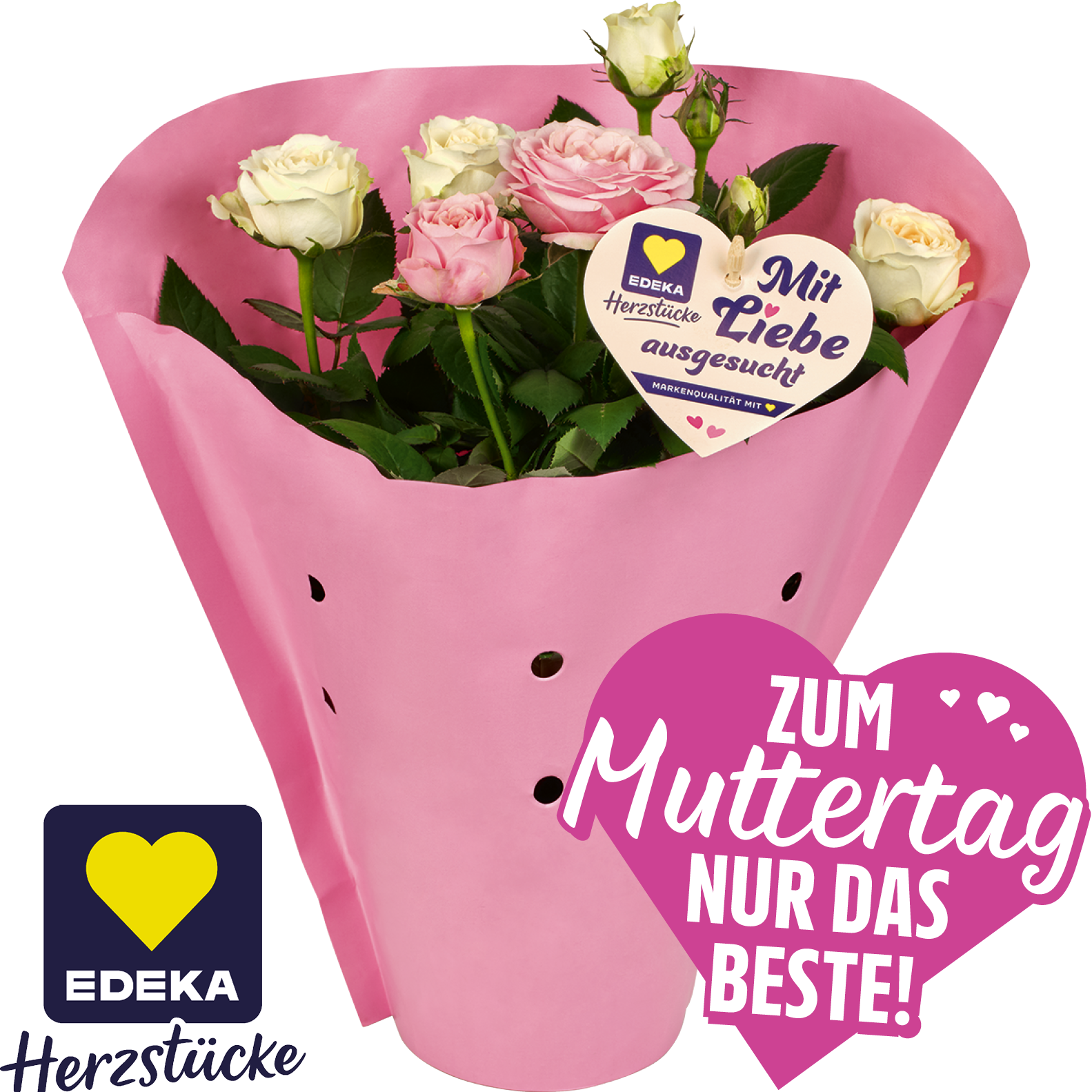 Topfrosen****