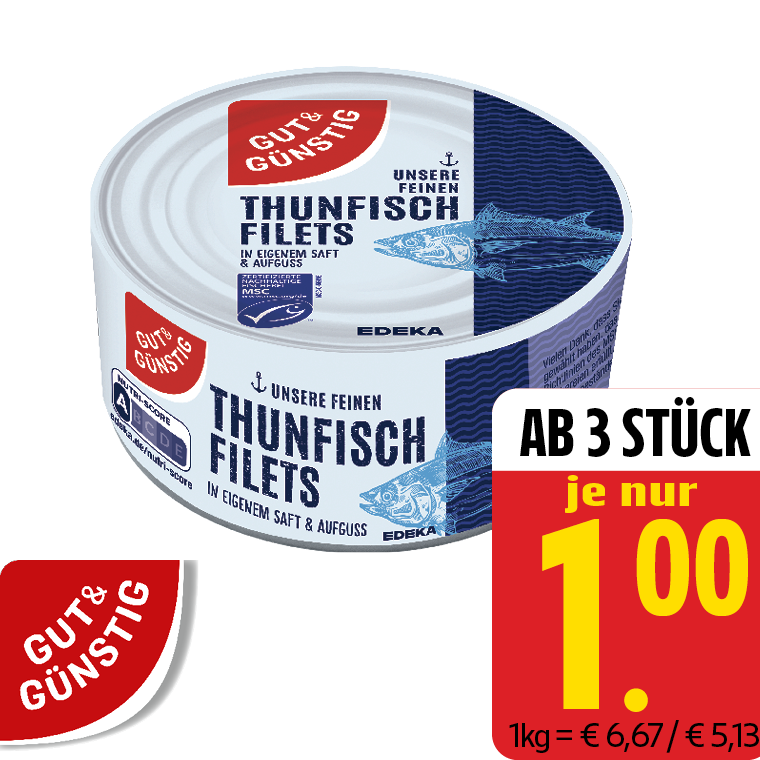Thunfischfilets