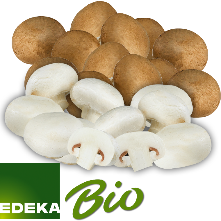 Champignons weiß oder braun