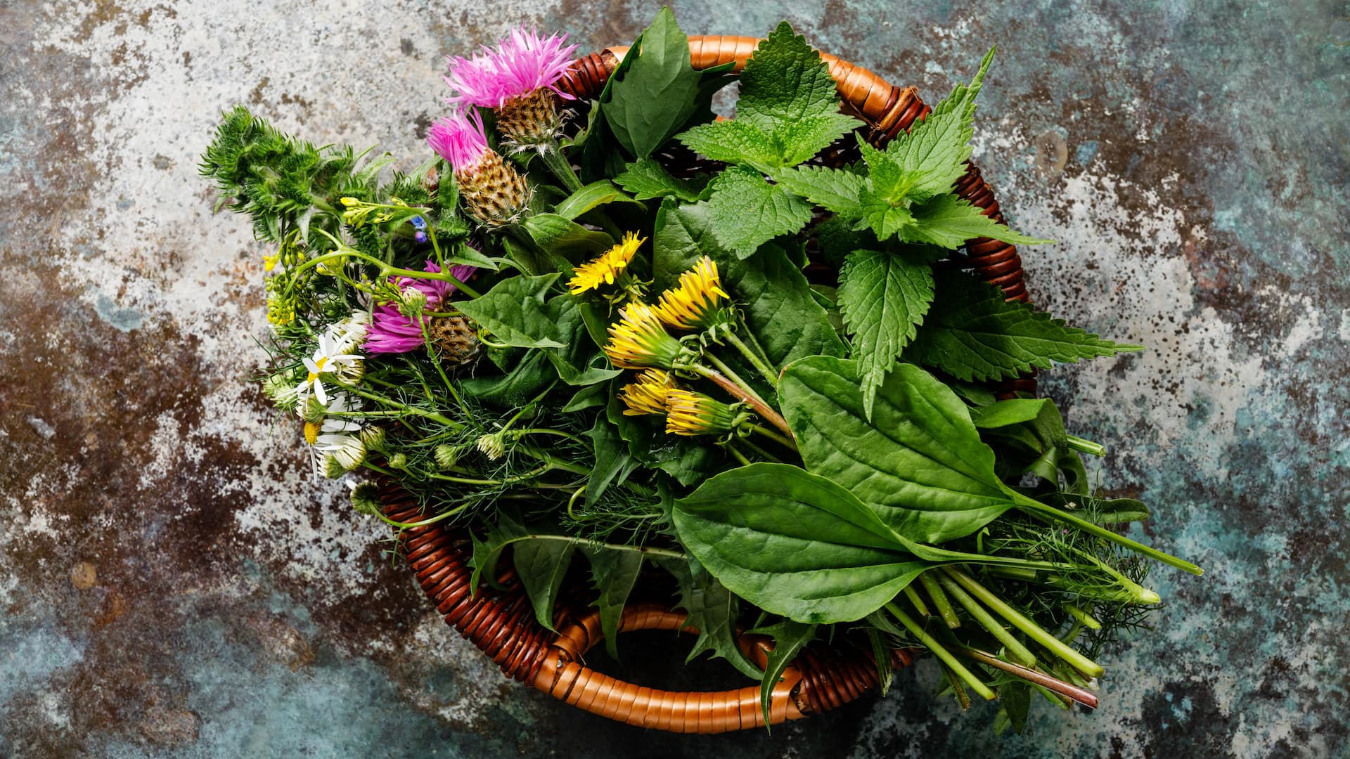 Essbare Wildpflanzen in Bastkorb