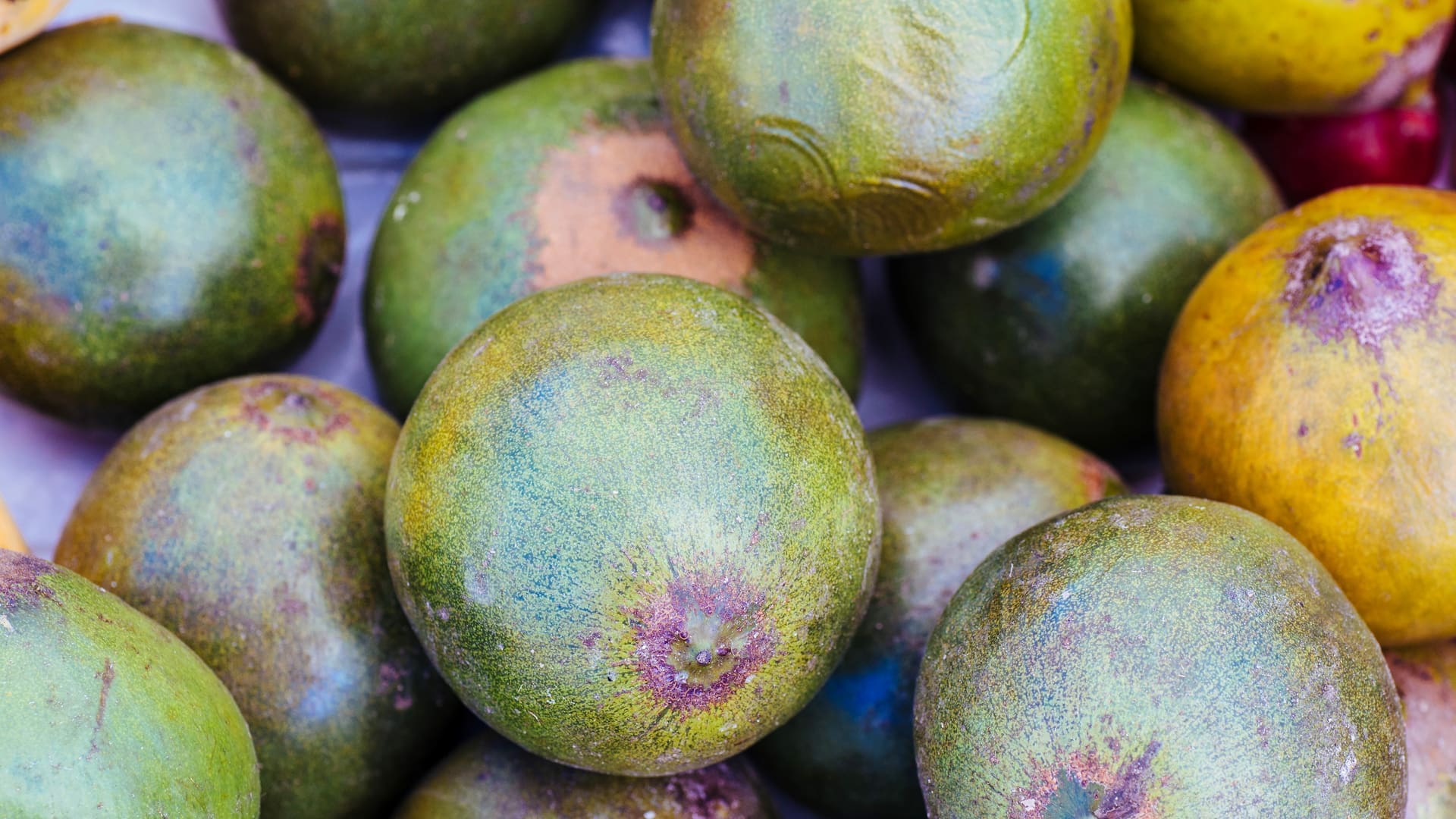 Nahaufnahme von Lucuma-Früchten