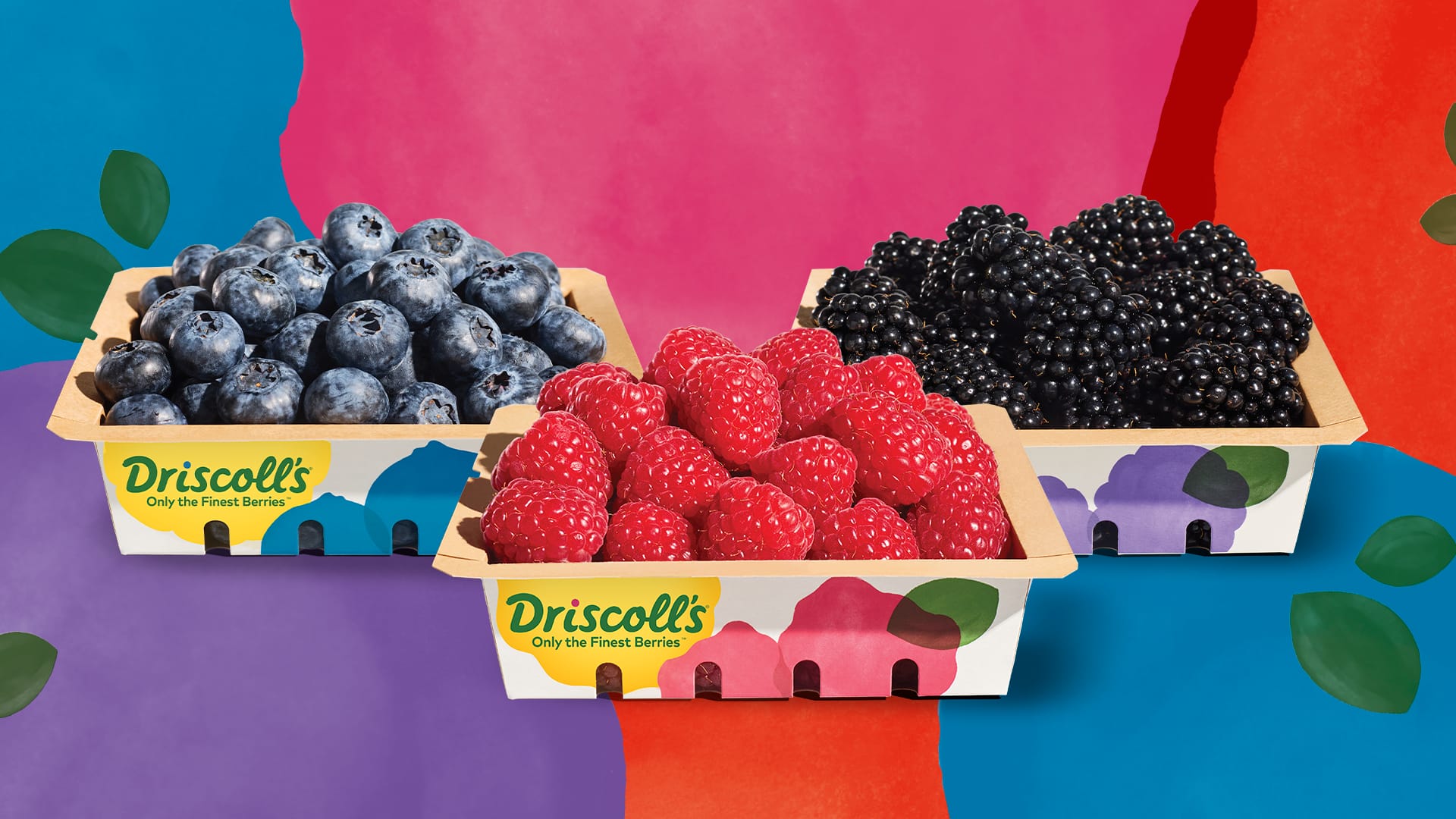 Driscoll’s Gewinnspiel | EDEKA