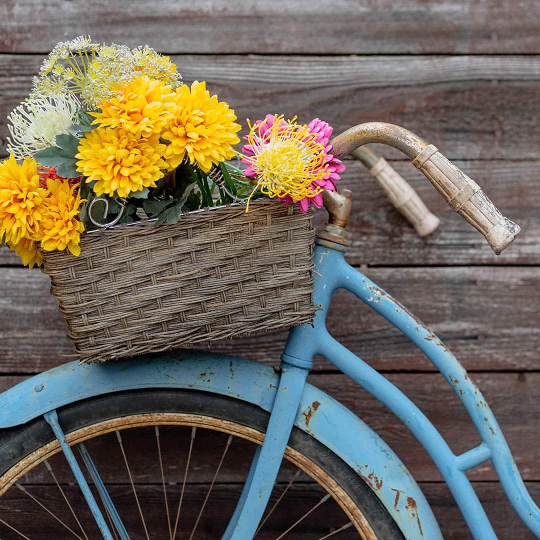 UpcyclingIdeen für den Garten tolle DIYDeko EDEKA
