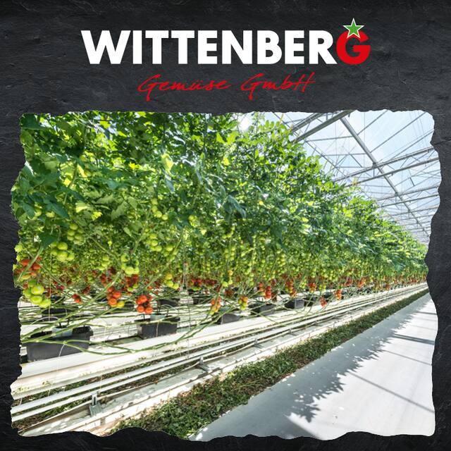 Regionale Lieferanten EDEKA center Lutherstadt Wittenberg