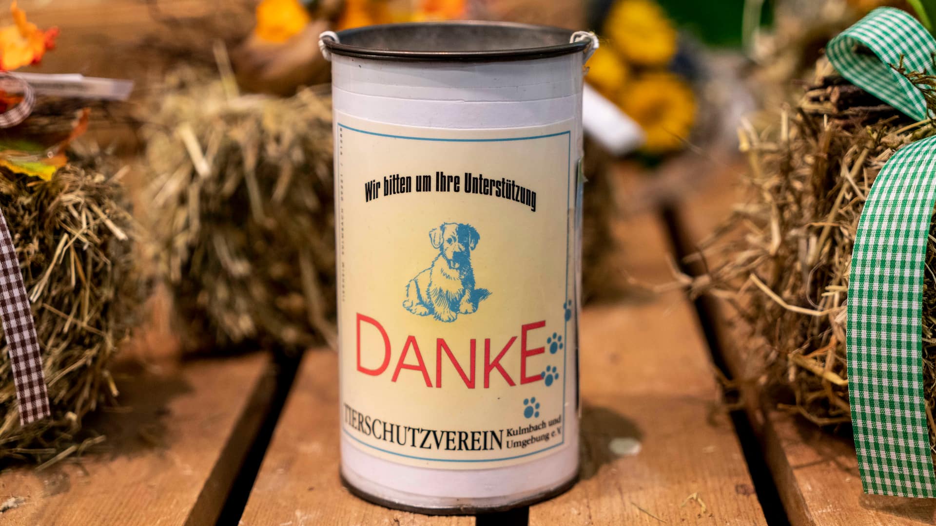 sozial, Tierschutz, Engagement