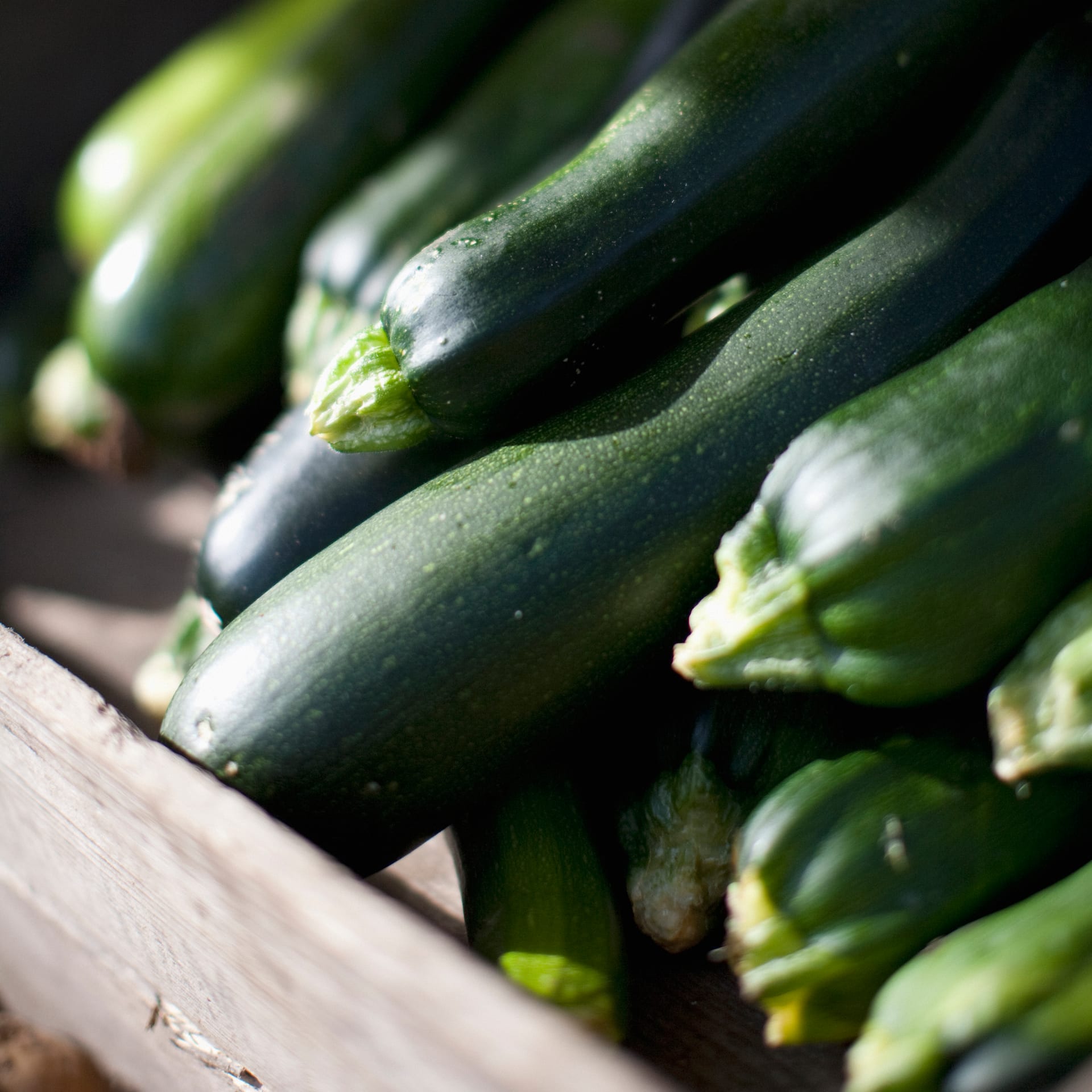Warenkunde: Zucchini