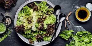 Blattsalate zubereiten