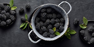 Brombeeren Saisonkalender
