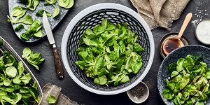 Feldsalat richtig putzen