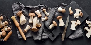 Kräuterseitlinge Saisonkalender