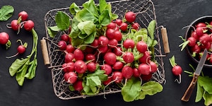 Radieschen