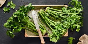 Stangensellerie Saisonkalender