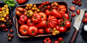 Unterschiede Tomatensorten