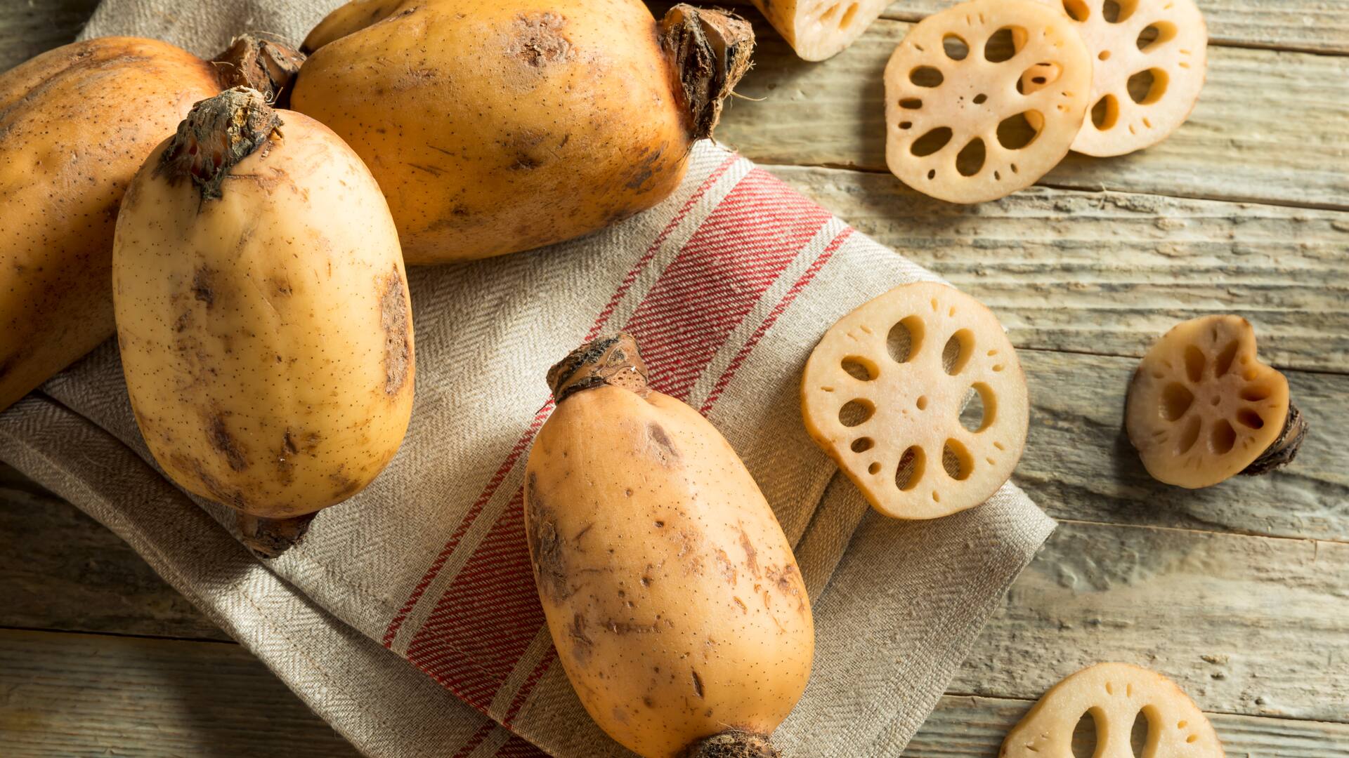 Lotuswurzel als Knolle und in Scheiben auf Handtuch