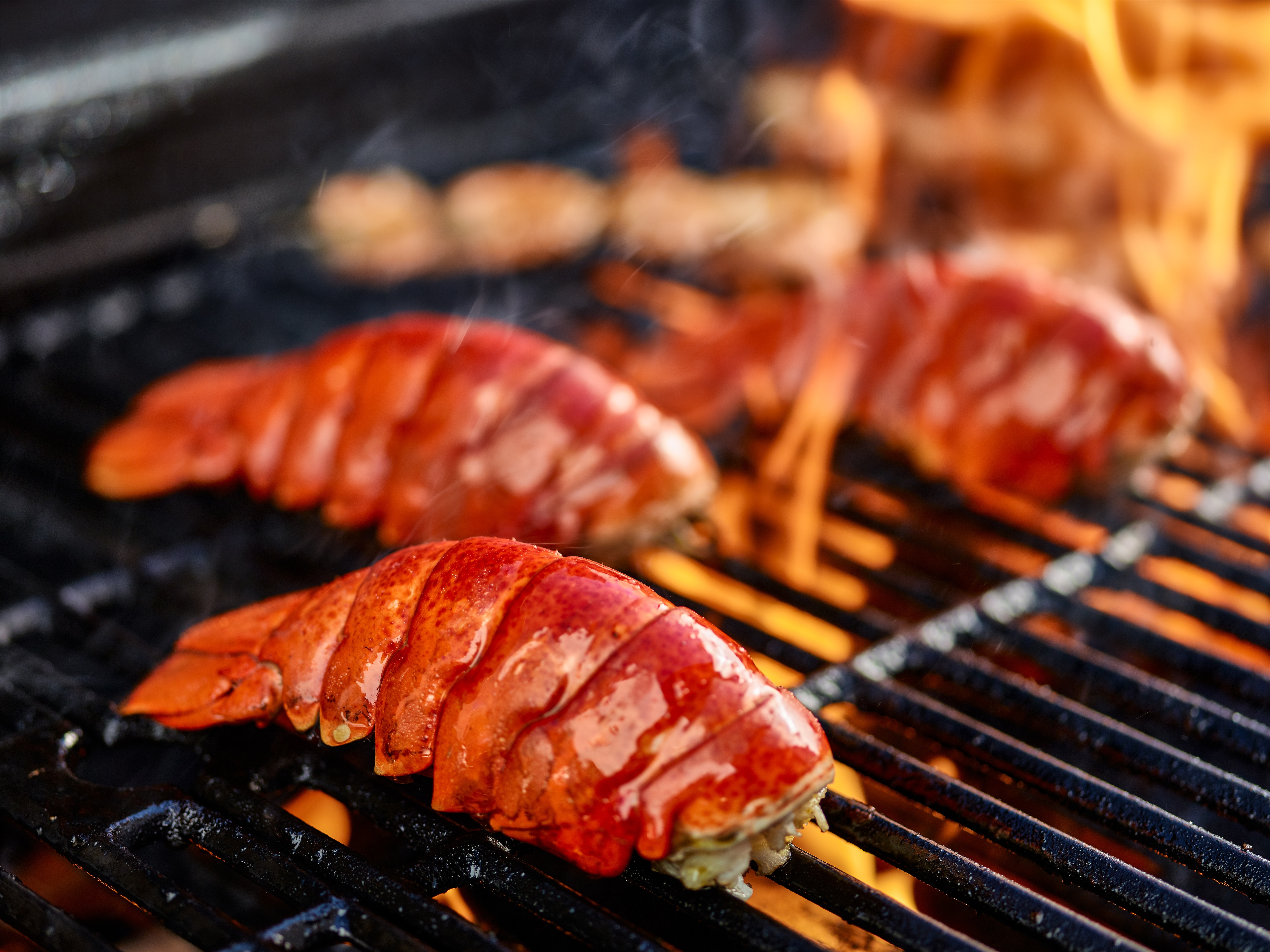 Hummer auf Grill