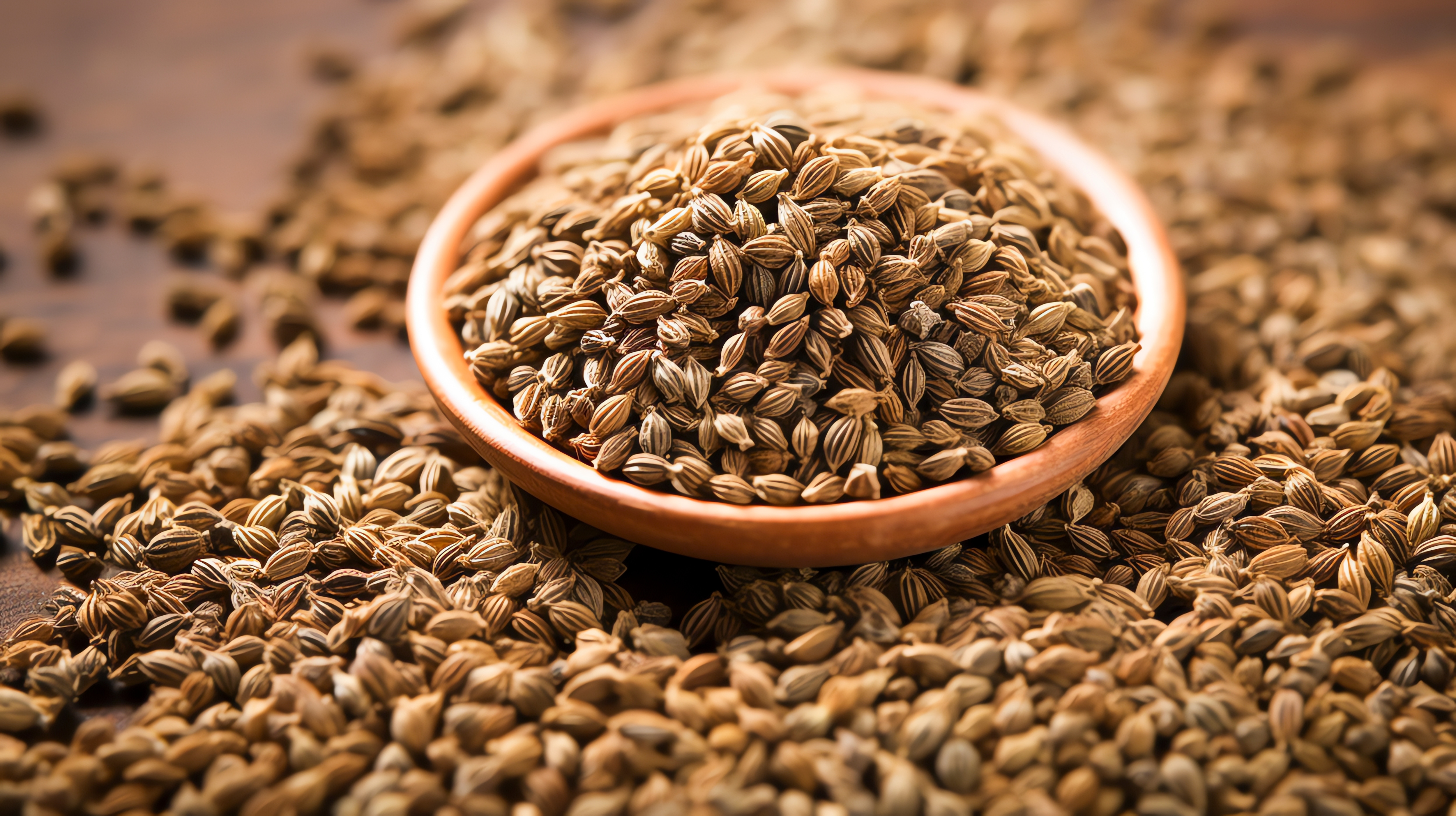 Viele getrocknete Ajowan Früchte auf einer Schale und umherliegend.