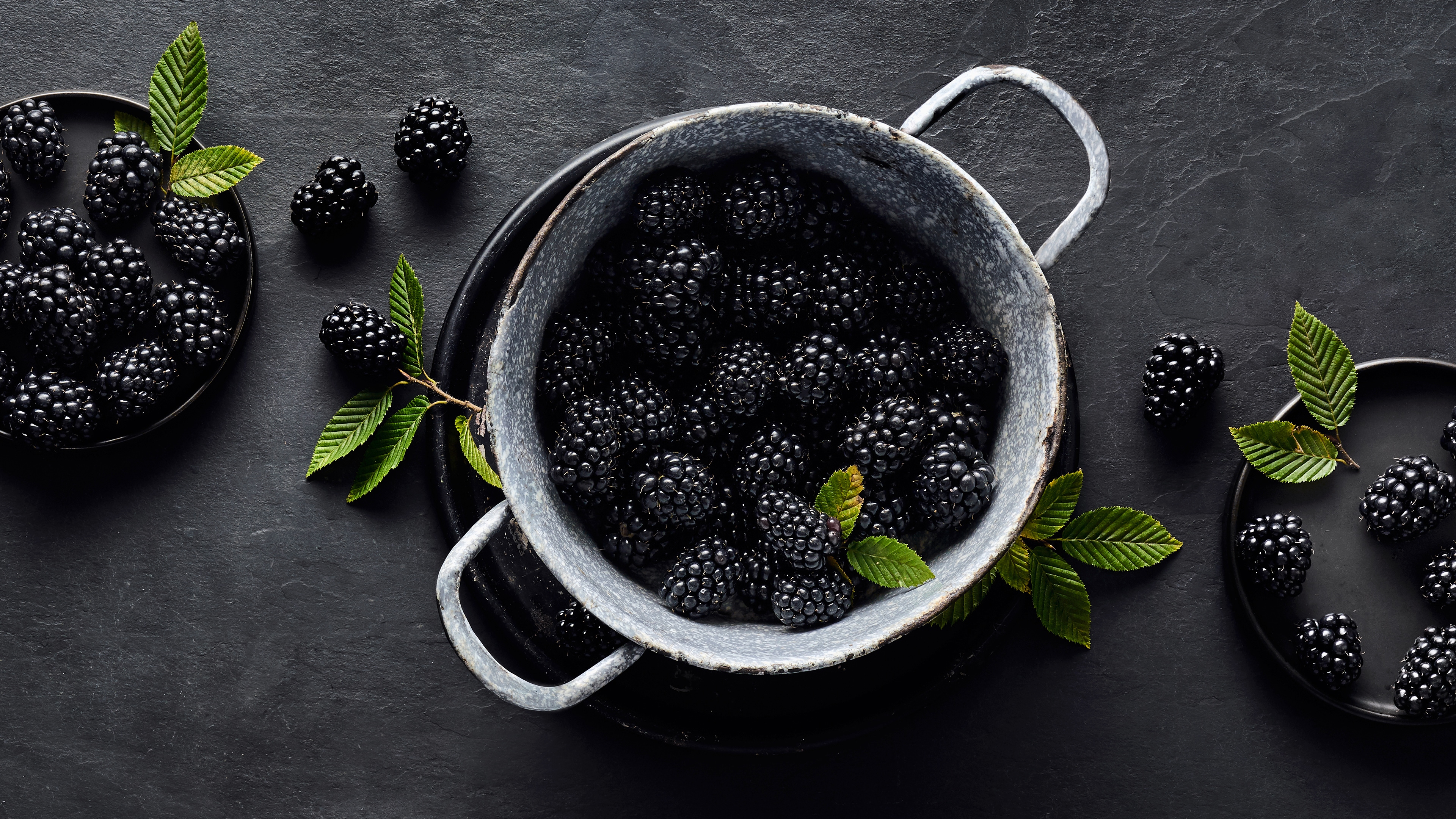 Brombeeren Saisonkalender