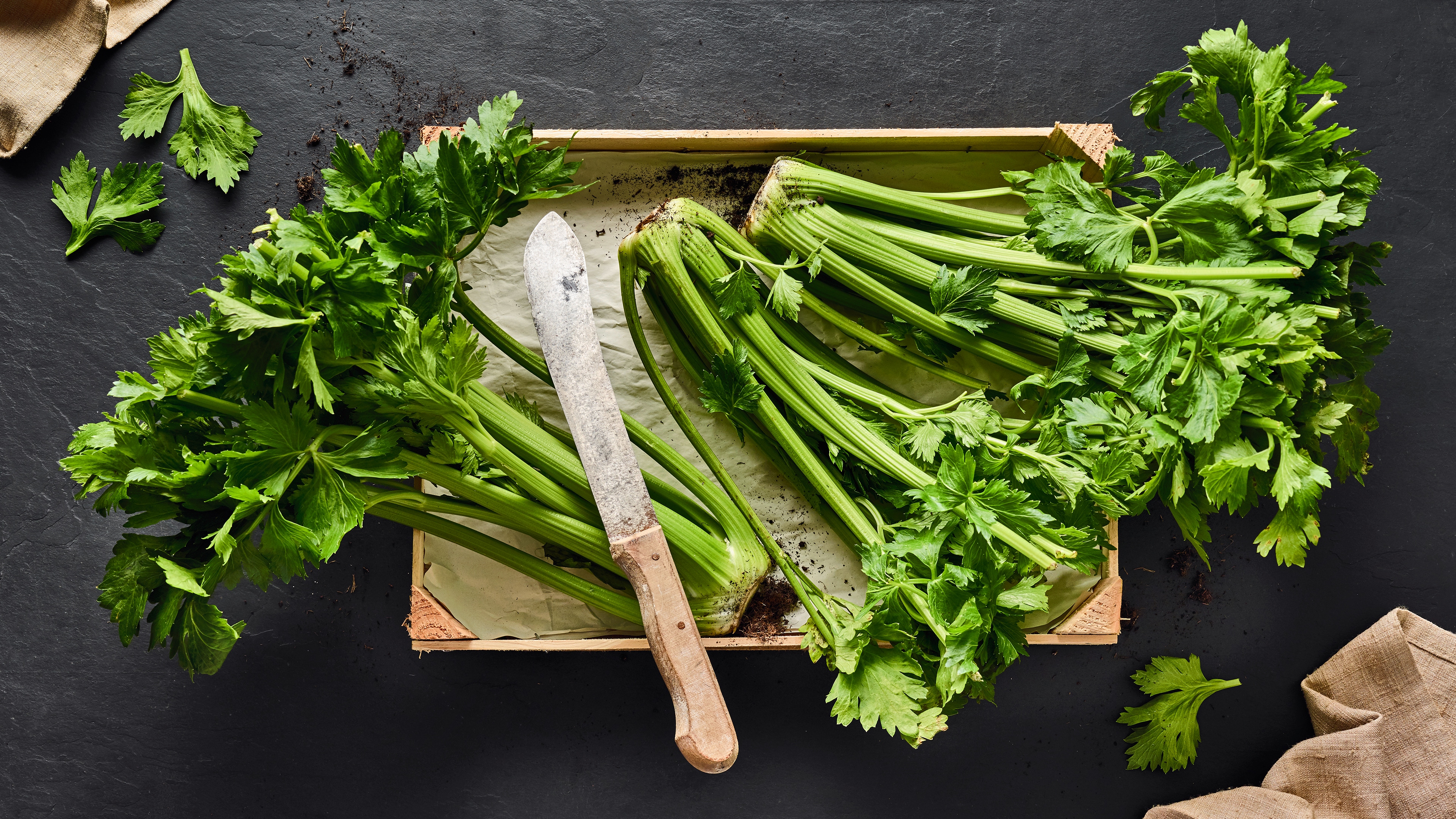 Stangensellerie Saisonkalender