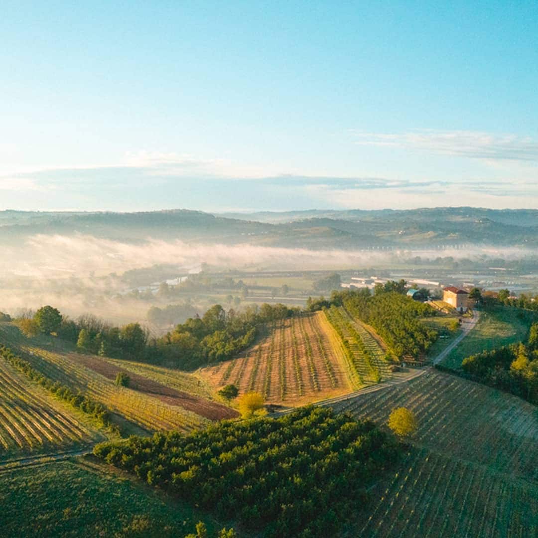 Luftbild einer bergigen Landschaft mit grünen Feldern.
