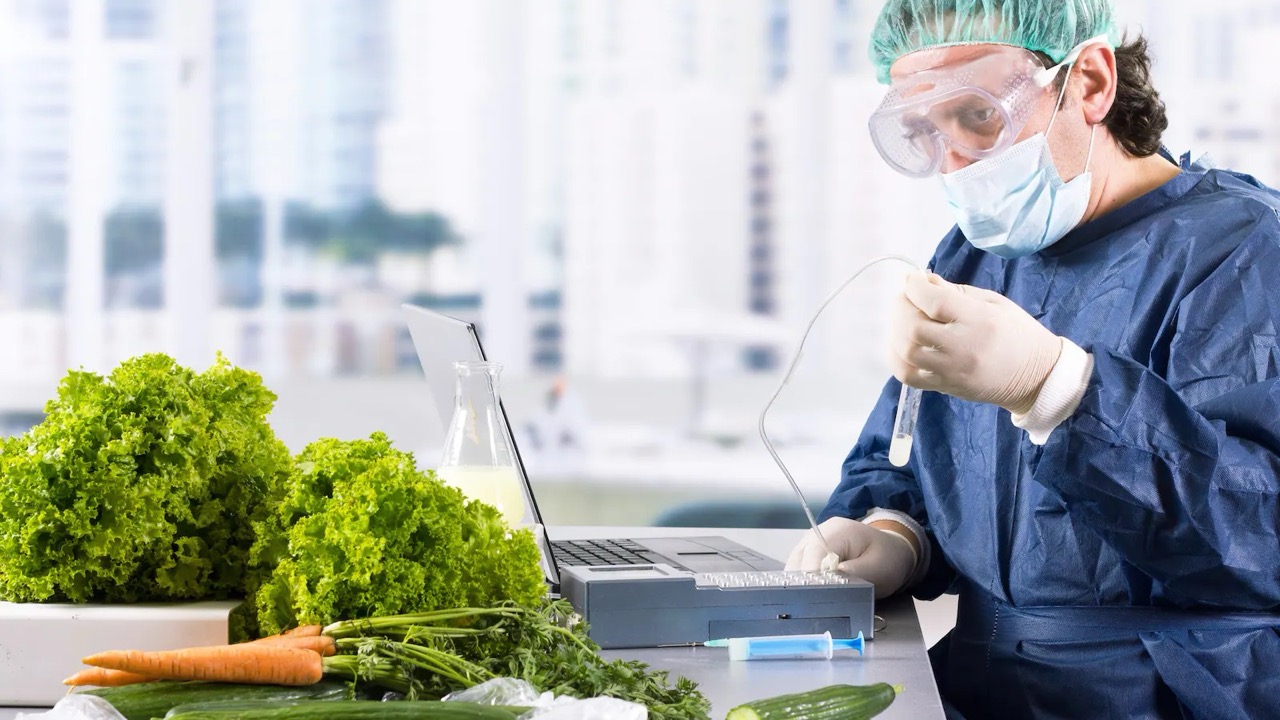 Eine Person mit Haarnetz, Schutzbrille, blauem Kittel und Einweghandschuhen sitzt an einem Schreibtisch. In der Hand ein Reagenzglas, das durch ein Kabel mit einem Laptop verbunden ist. Außerdem auf dem Tisch: Salat, ein Bund Mohrrüben, eine Spritze sowie Gurken.
