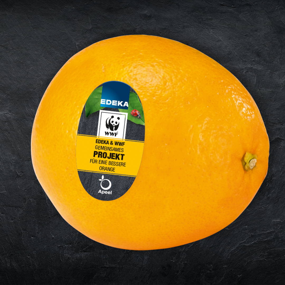 EDEKA WWF Orangen