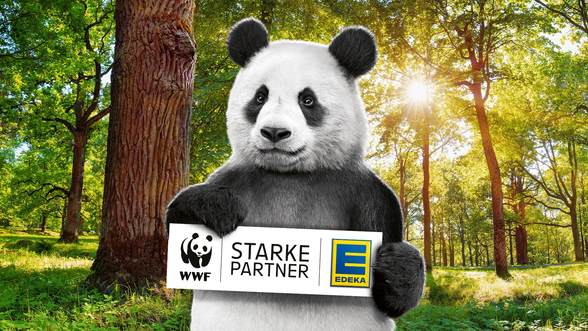 Panda im Wald hält ein Schild mit den Logos von WWF und EDEKA sowie der Aufschrift „Starke Partner“.