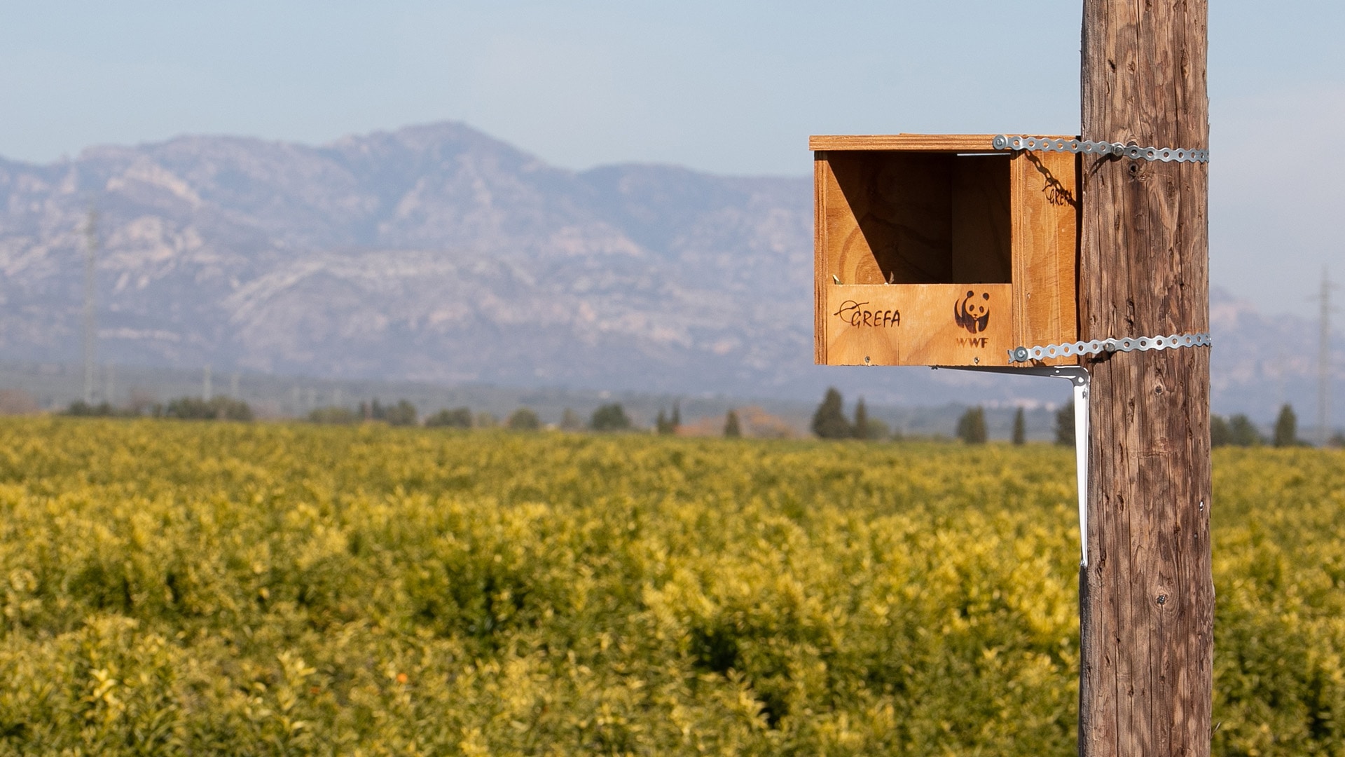 Ein Nistkasten mit GREFA- und WWF-Logo ist auf einem Holzpfahl in einem Feld vor einer Berglandschaft befestigt.