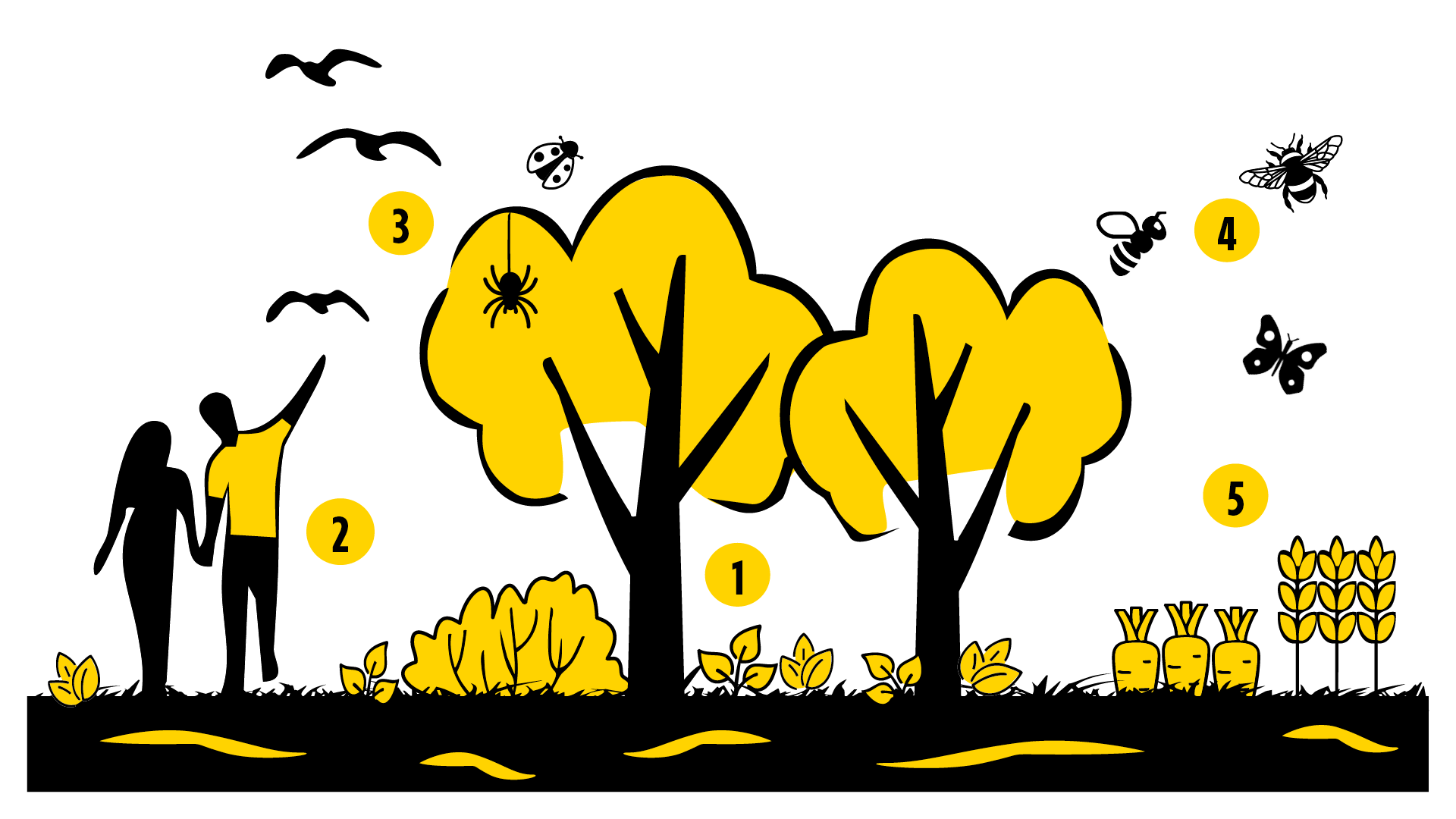 Eine Grafik mit 1. Bäumen, 2. Menschen, 3. Vögeln, 4. Insekten und 5. landwirtschaftlichen Feldfrüchten
