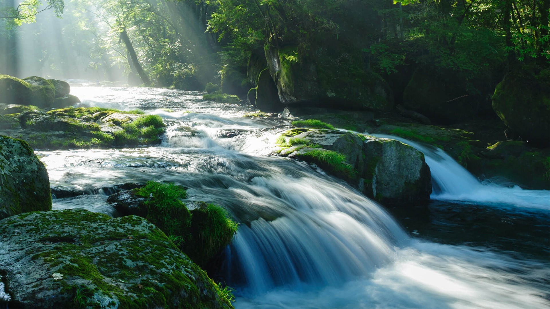 Ein Fluss im Wald, wo ein flacher Wasserfall zu sehen ist