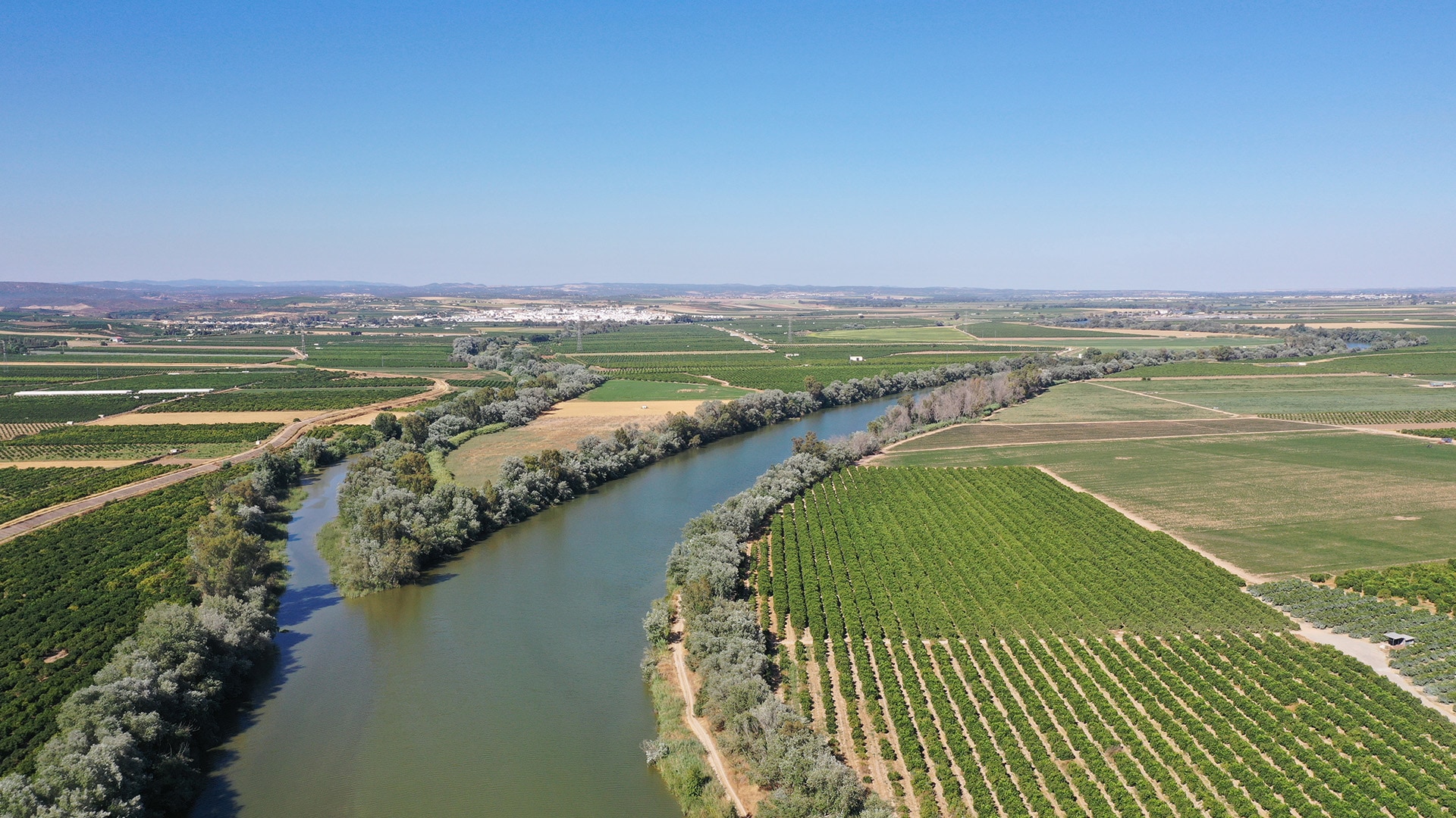 Ein Fluss, der in zwei Richtungen abzweigt, und umgeben von Feldern ist
