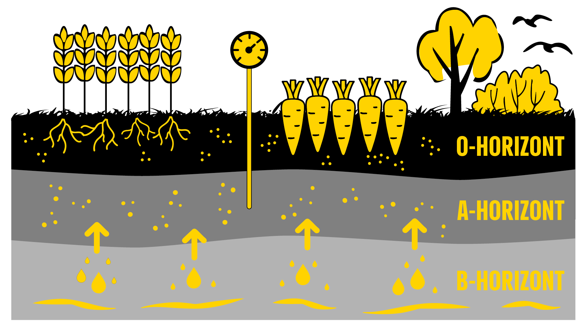 Eine Grafik mit Erdschichten, darin angebaute Agrarprodukte, Regentropfen sowie ein Messgerät, welches im Boden steckt