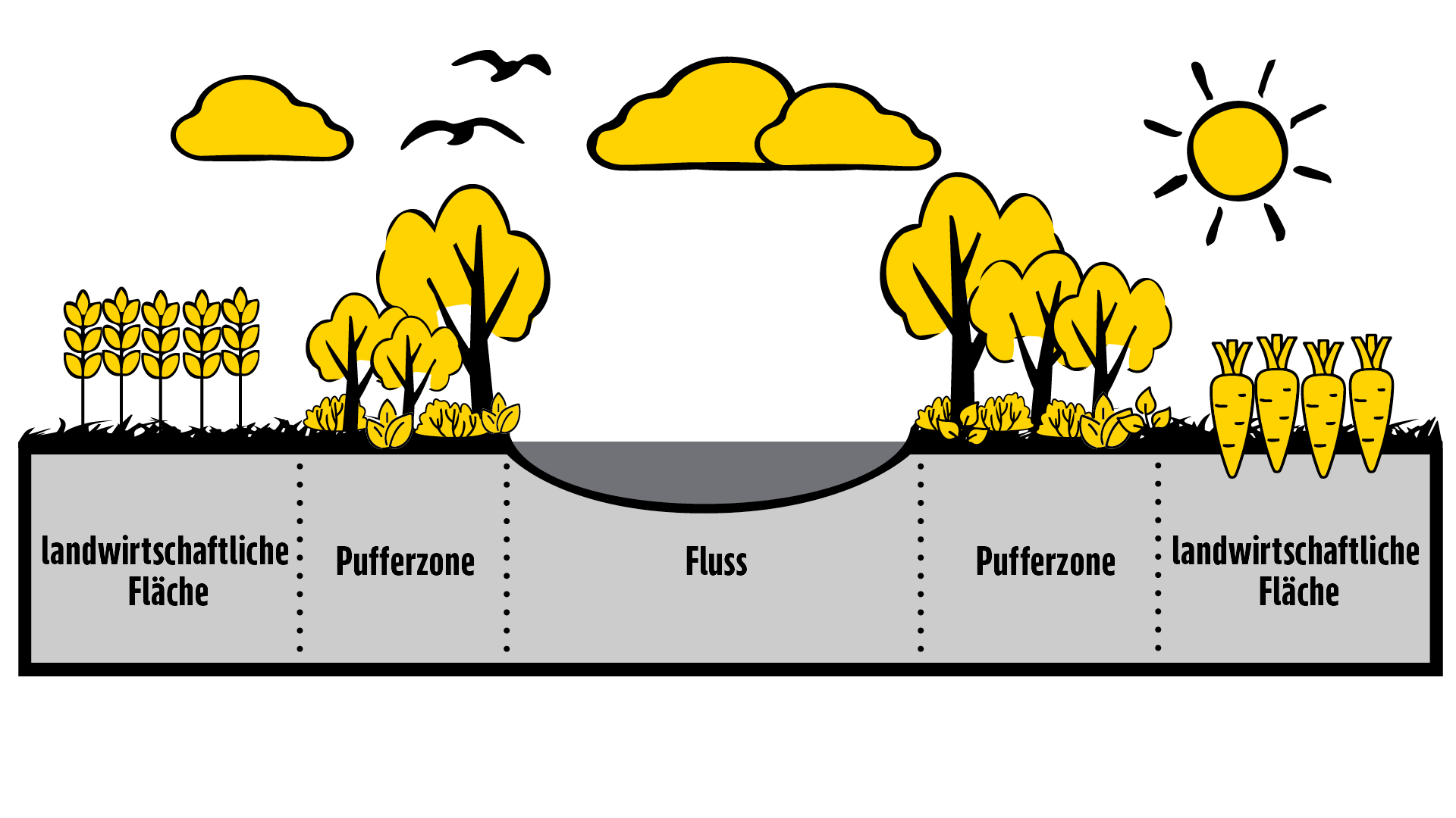 Eine Grafik von einem Fluss, umgeben von Bäumen und landwirtschaftlicher Fläche, welche darunter als Fläche eingezeichnet sind