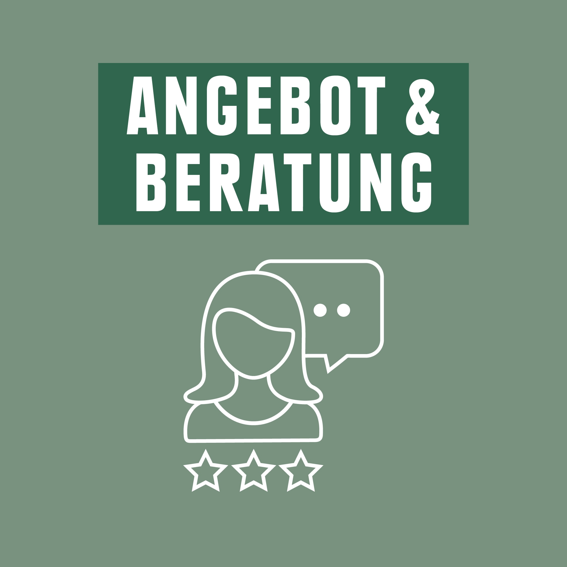 Eine Infographik mit dem Wort Angebot & Beratung, darunter eine Person mit einer Sprechblase und drei Sternchen