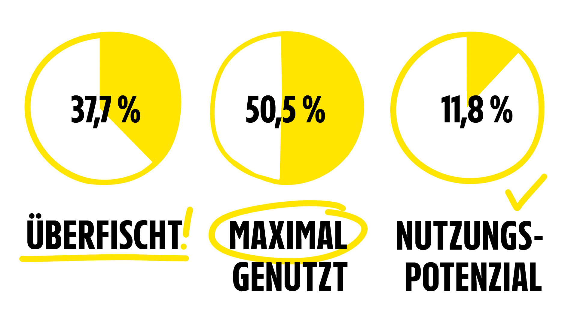 Drei Tortendiagramme zeigen Fischereizustände: überfischt (37,7 %), maximal genutzt (50,5 %) und das Potenzial (11,8 %)