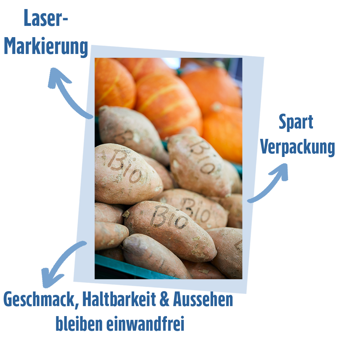 Ein Bild mit Karoffeln, auf denen Bio eingraviert ist, davon wegzeigend Pfeile mit Erklärungen
