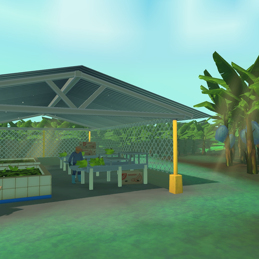 Eine Person arbeitet mit Salat unter einem Metalldach, in einem  umzäuntem Gartenbereich, mit Bäumen im Hintergund