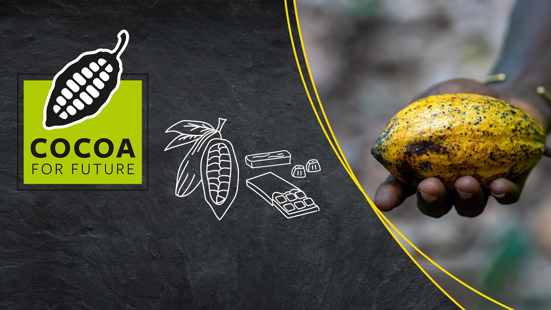 Das Logo der Cocoa For Future-Initiative, daneben Zeichnungen von Schokolade &  Kakaofrucht sowie ein Foto einer Kakaofrucht