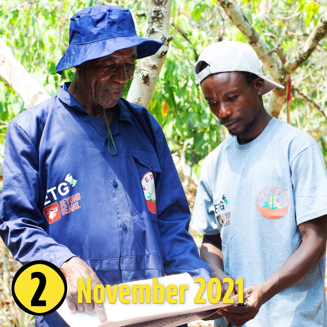 Zwei Männer schauen gemeinsam in ein Buch hinein