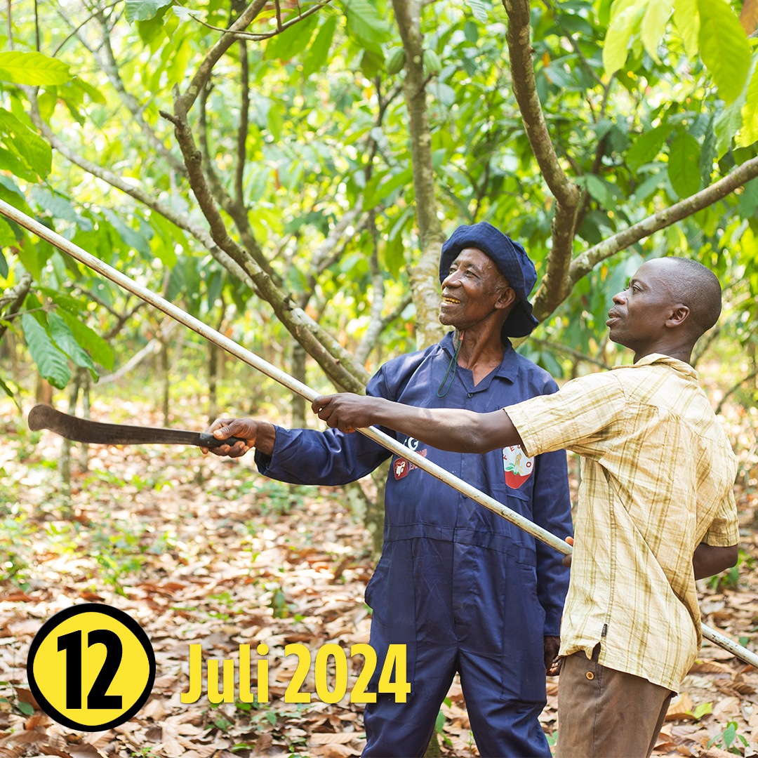 Zwei Männer halten jeweils einen Stock in die Luft in Richtung eines Baumes