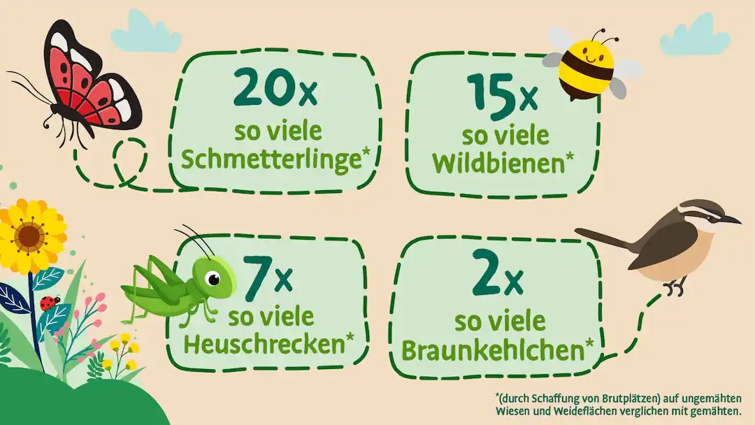 Eine Grafik, welche die Erfolge des Programms für mehr Vielfalt darstellt