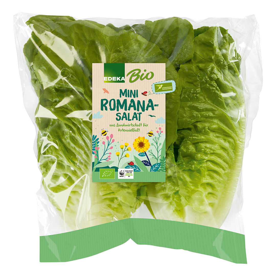 EDEKA Bio Mini Romana-Salat