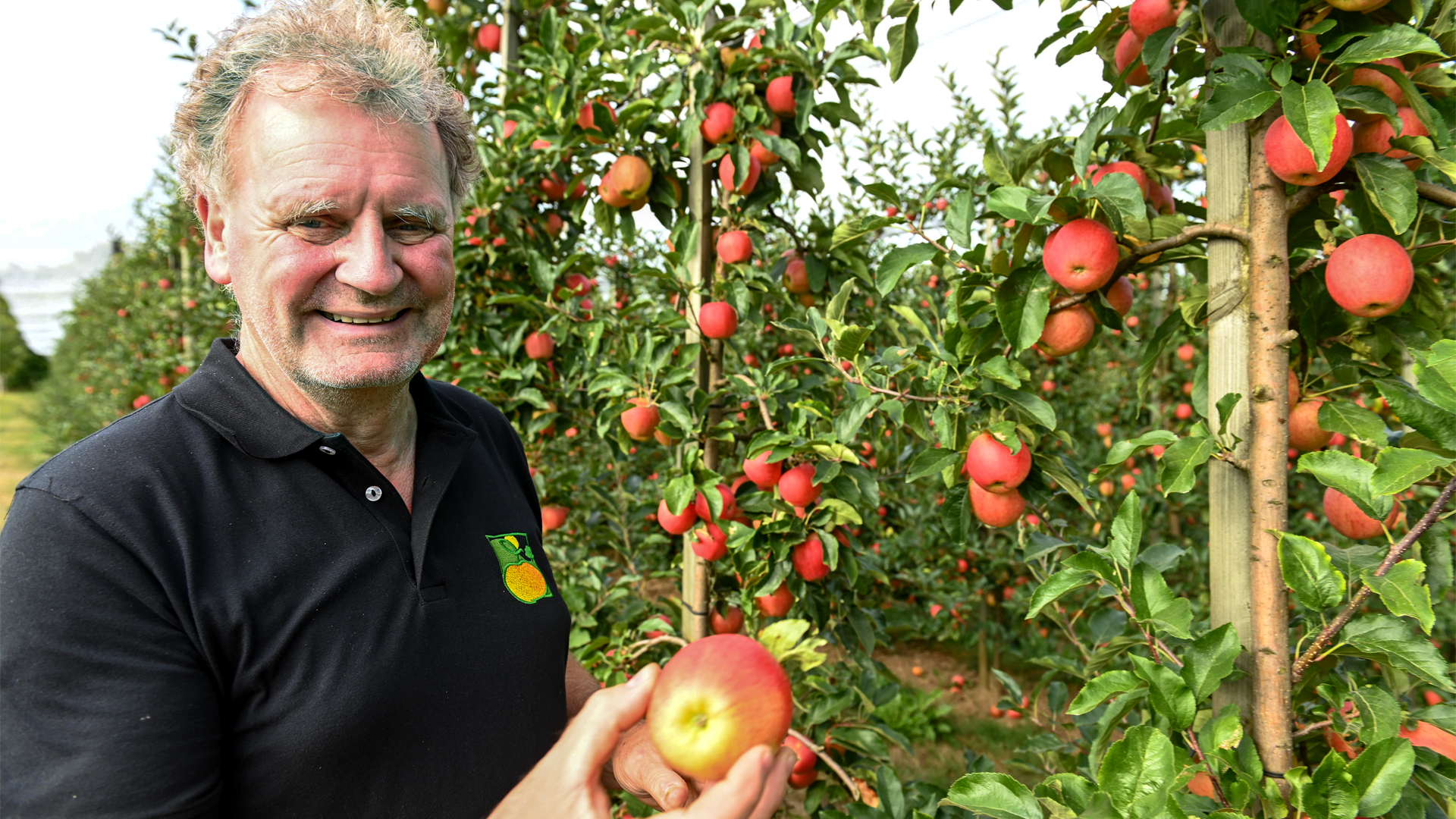 Der Eigentümer von KRINGS Obstbau Wilfried Krings, mit einem roten Apfel in der Hand, auf einer Apfelplantage