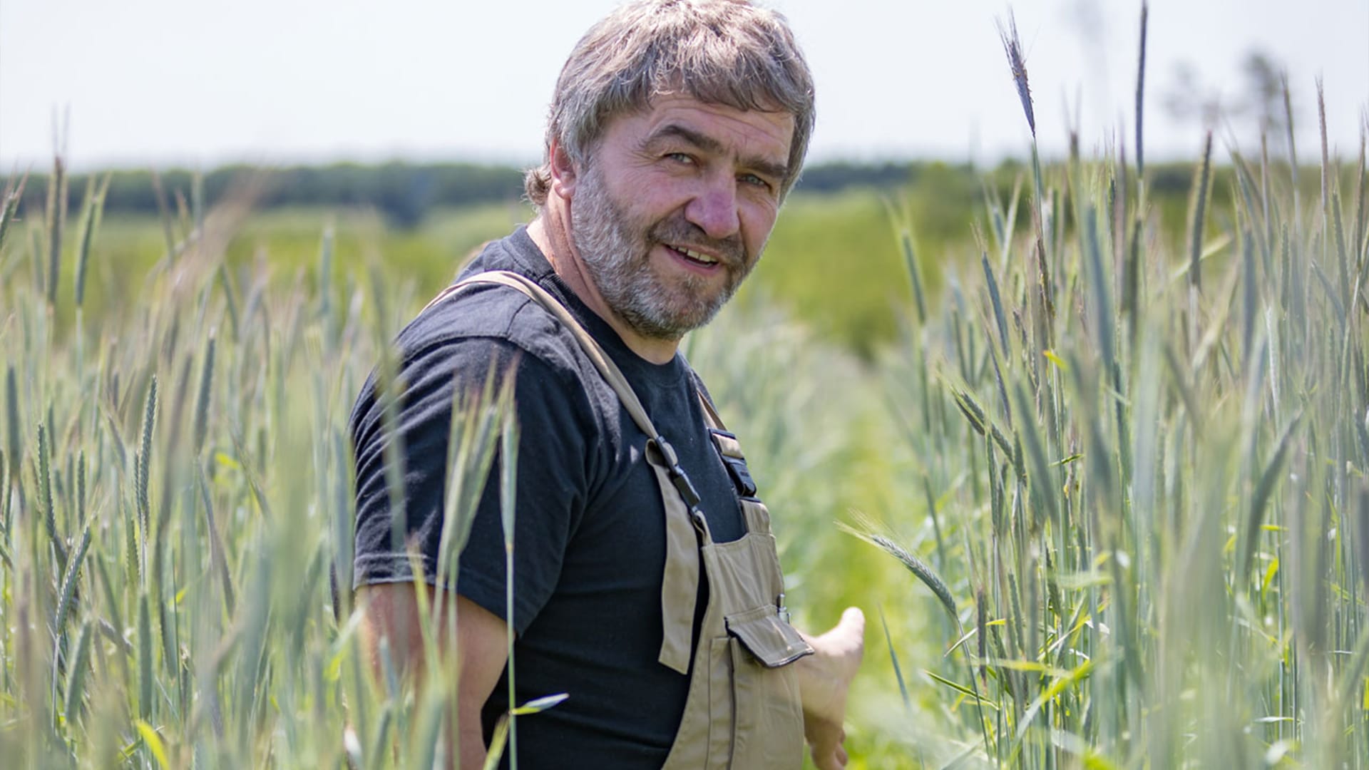 Der Eigentümer des Leibertinger Biohof Lothar Braun-Keller in einem Getreidefeld