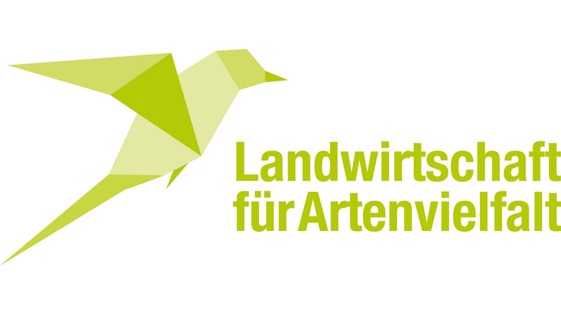 Ein grüner Vogel neben dem Programmnamen