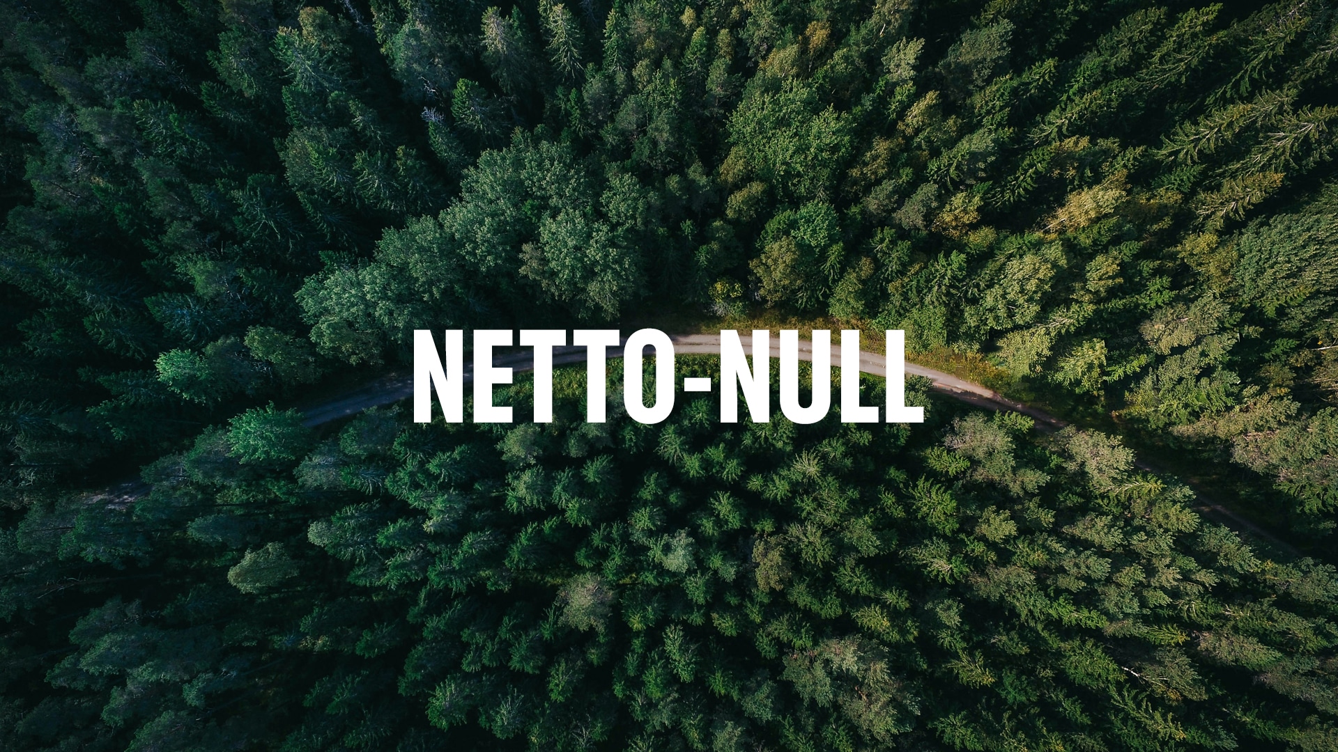 Luftaufnahme eines dichten Waldes mit geschwungener Straße; mittig steht der Schriftzug „NETTO-NULL“.