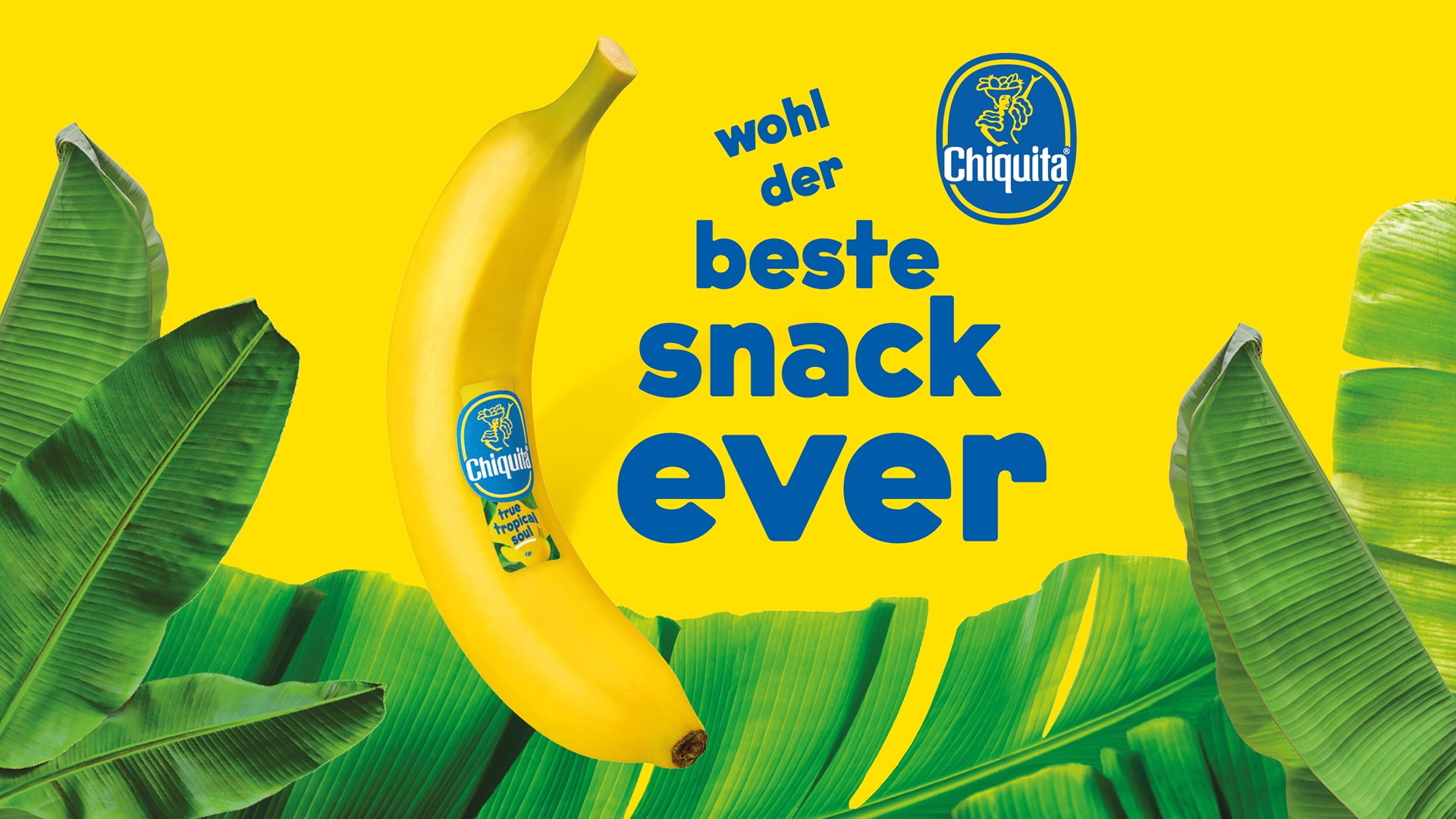 Chiquita-Banane vor gelbem Hintergrund mit grünen Bananenblättern und dem Schriftzug „wohl der beste Snack ever“.