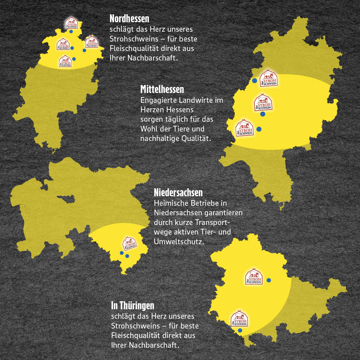 Übersichtskarte unserer Heimat-Regionen für das regionale Strohschwein: Nordhessen, Mittelhessen, Niedersachsen und Thüringen mit Beschreibungen zur regionalen Qualität und Haltung.