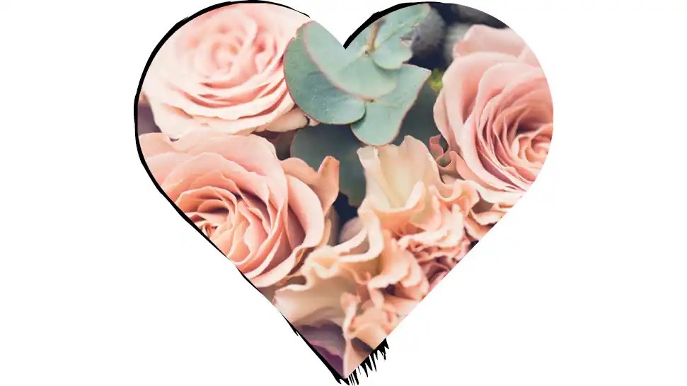 Rosane Rosen in einem Ausschnitt in Herzform.