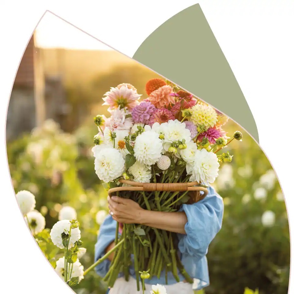 Eine Frau hält einen bunten Blumenstrauß, so groß, dass man nur noch ihren Arm sieht.