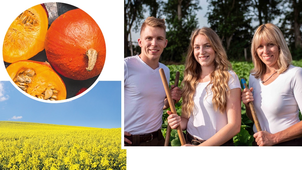 Collage aus drei Bildern: Zwei Kürbisse, zwei Frauen und ein Mann in einem Feld sowie ein gelb blühendes Feld.